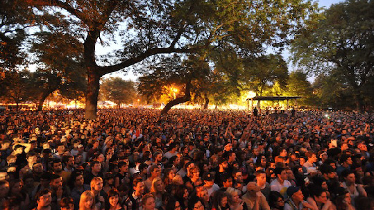 Our stage will even have shade trees!